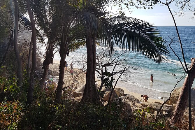 Full-Day Trail to 6 hidden Beaches, Colomitos & Snorkel - The Boat Back to Town: Banderas Bay From a Fresh Angle