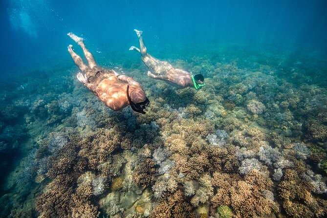 Full-Day Whitsunday Sail and Snorkel Adventure with Lunch - Langford Island: White Sand, Reef Color, Beach Walks, and Banana Boat Fun
