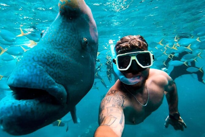 Full-Day Whitsunday Sail and Snorkel Adventure with Lunch - Small Group Size and Crew Energy: The Difference Between OK and Great