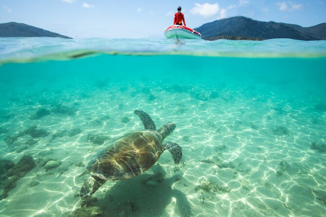 Full-Day Whitsunday Sail and Snorkel Adventure with Lunch - Price and Value: Is $142.73 Actually Fair?