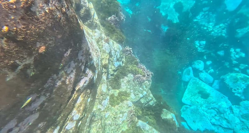 Funchal: Kayak and Snorkel Tour to Garajau NR - Key things that make this tour worth it