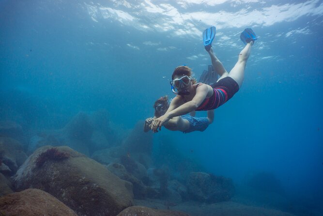 Funchal: Snorkeling Adventure in Eco-Park / Shore or by Boat - Key Things That Make This Snorkel Adventure Worth It