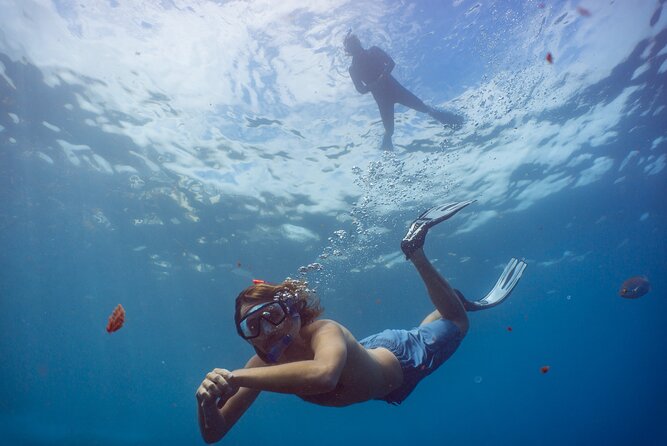 Funchal: Snorkeling Adventure in Eco-Park / Shore or by Boat - Where You Start in Funchal (Pestana Carlton Sea-Level Access)
