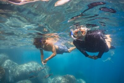 Funchal: Snorkeling Adventure in Eco-Park / Shore or by Boat - Two Ways to Snorkel: Shore House Reef vs Protected Reserve by Boat