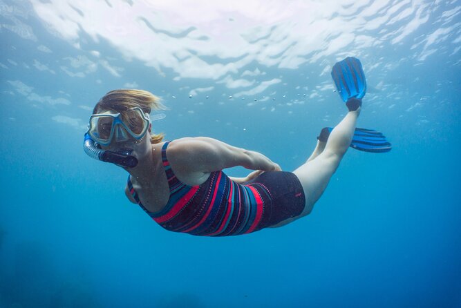 Funchal: Snorkeling Adventure in Eco-Park / Shore or by Boat - Your 2-Hour Snorkel Session: Pacing, Comfort, and Cold Water Reality