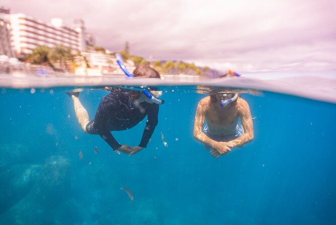 Funchal: Snorkeling Adventure in Eco-Park / Shore or by Boat - Gear and Fit: What’s Provided and What You Should Bring