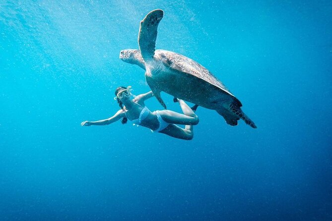 Gili Island Snorkeling Trip - Gili Trawangan, Gili Meno, & Gili Air, From Lombok - Key points worth knowing