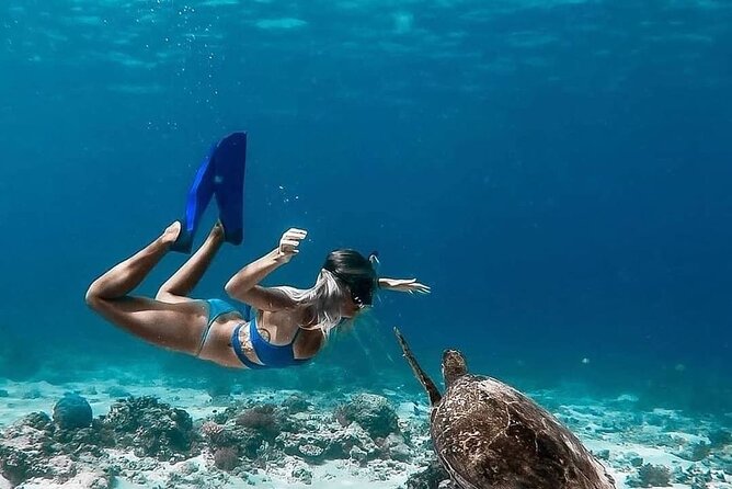 Gili Island Snorkeling Trip - Gili Trawangan, Gili Meno, & Gili Air, From Lombok - Who should book this Gili private snorkeling trip