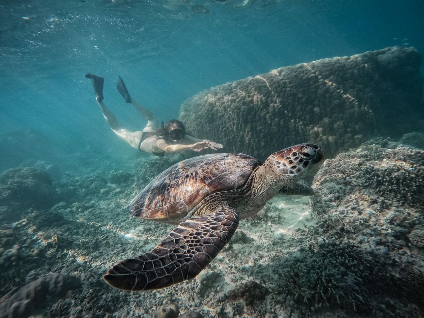 Gili Islands: Group or Private Snorkeling Tour with GoPro - Getting your gear and learning how to snorkel for real