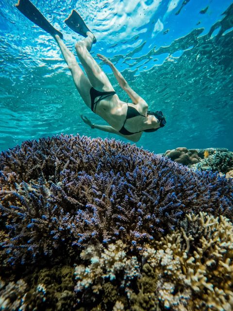 Gili Islands: Group or Private Snorkeling Tour with GoPro - Deluxing it up: GoPro time, Turtle Sanctuary, and Meno Lake