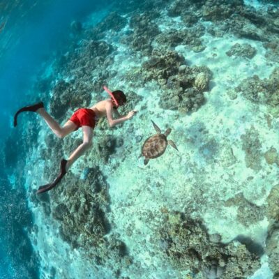 Gili Islands: Private or Shared Snorkeling Boat Trip - Price and what $14 gets you (and what it does not)