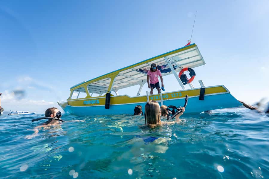 Gili Islands: Private or Shared Snorkeling Boat Trip - Turtle sanctuary swim in Gili Meno: the highlight that feels personal