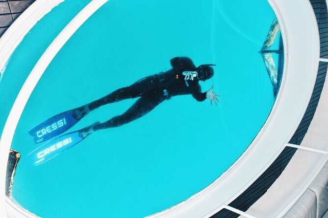 Glass Bottom Boat Tour & Snorkeling in São Miguel, Azores - Timing and group size: why 2 hours can turn into 3-plus