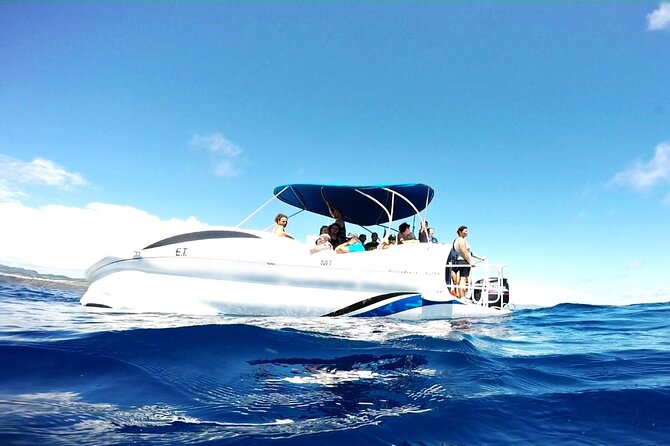 Glass Bottom Boat Tour & Snorkeling in São Miguel, Azores - Crew impact: captains and biologists make the difference