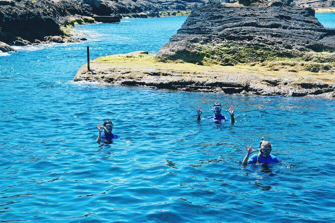 Glass Bottom Boat Tour & Snorkeling in São Miguel, Azores - Price and value: $60.49 is the easy part