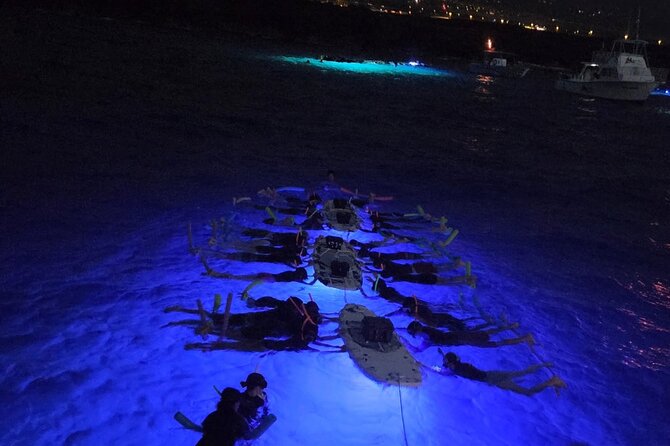 Glow of the Deep: Night Snorkeling with Manta Rays - Key Things You’ll Actually Notice