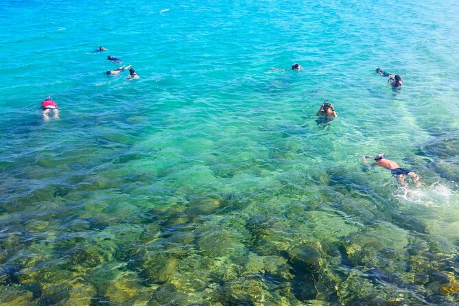 Gold Coast Kayaking & Snorkelling Tour (2.5 Hours) - Quick Takeaways