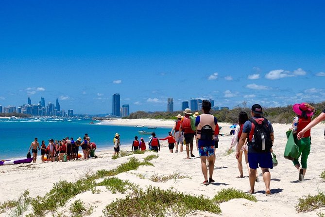 Gold Coast Kayaking & Snorkelling Tour (2.5 Hours) - Should You Book This Gold Coast Kayaking & Snorkelling Tour?