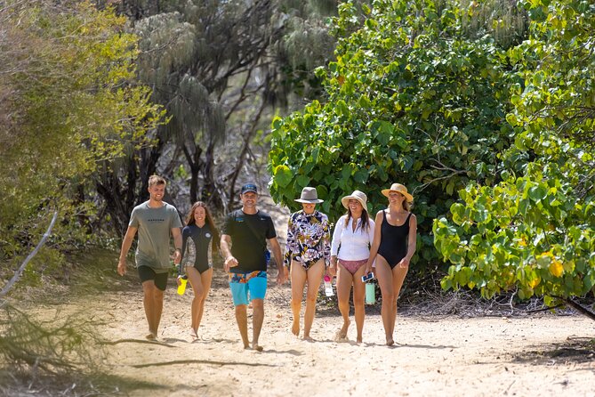 Gold Coast: Morning Kayak & Snorkel Adventure with Breakfast - Safety, weather, and how guides shape the day
