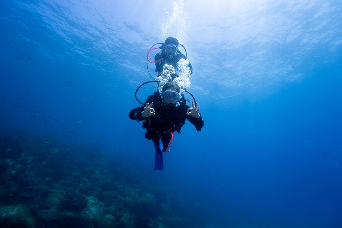 Gold Coast: Morning Kayak & Snorkel Adventure with Breakfast - Price and value: what $71 gets you (and what it doesn’t)