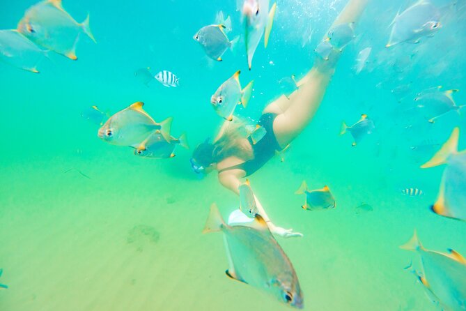 Gold Coast: Morning Kayak & Snorkel Adventure with Breakfast - Paddling the Broadwater Channel: dolphins, turtles, and the “slow drift” advantage