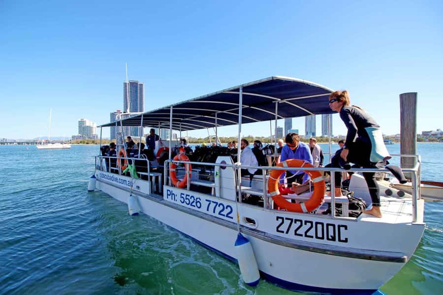 Gold Coast: Snorkelling in Wave Break Island - Key things to know before you go