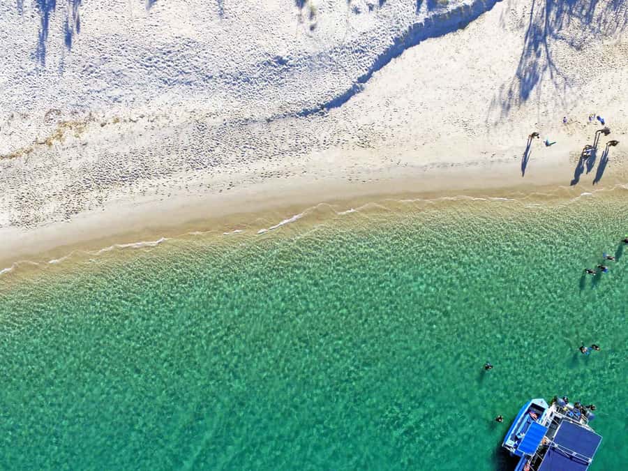 Gold Coast: Snorkelling in Wave Break Island - Should you book Wave Break Island snorkeling?