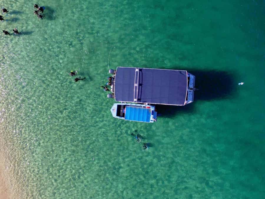 Gold Coast: Snorkelling in Wave Break Island - Fish feeding and underwater photos: How guides help without crowding you