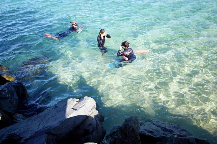 Gold Coast: Snorkelling in Wave Break Island - The 4-hour schedule: What you do from pickup to drop-off