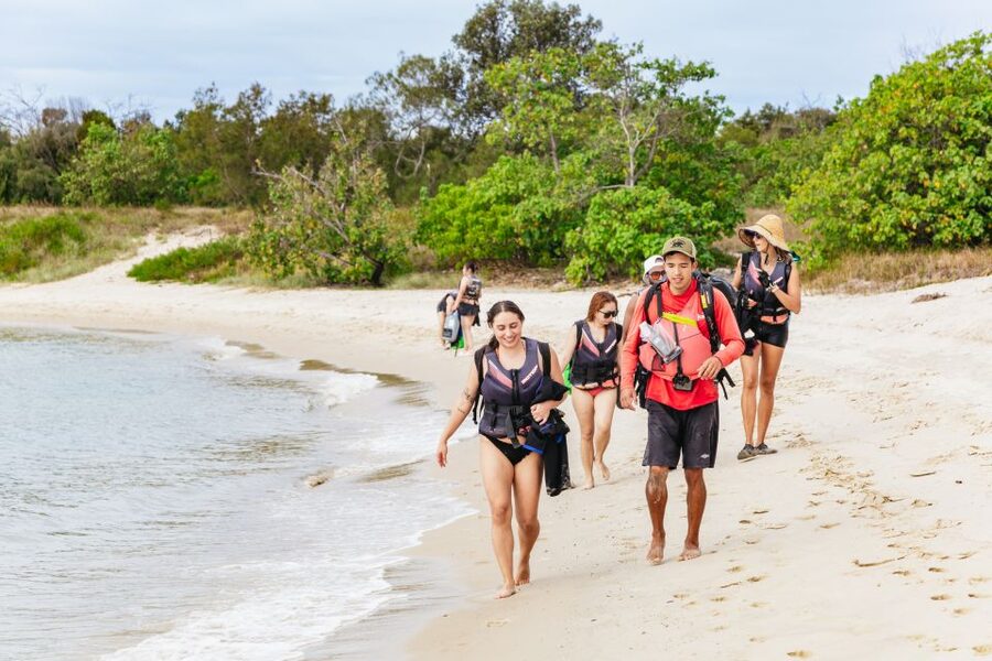 Gold Coast: Wave Break Island Kayaking & Snorkeling tour - Landing on Wave Break Island: the short walk that adds meaning
