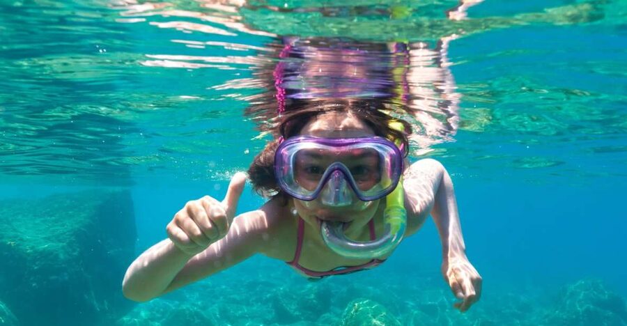 Golfo Aranci: Dolphin Watching and Snorkeling Boat Tour - Where Golfo Aranci dolphins meet real snorkeling time
