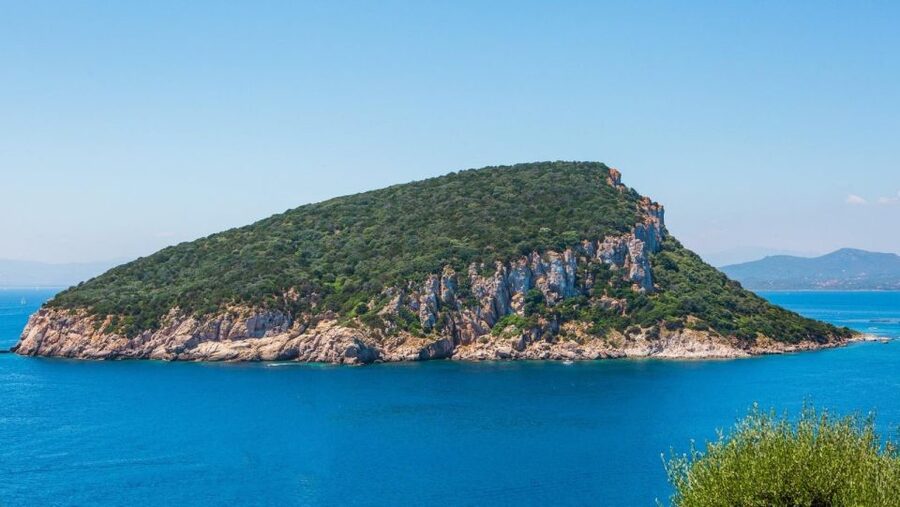 Golfo Aranci: Dolphin Watching and Snorkeling Boat Tour - Meet the crew: captain + hostess/steward, and guides who explain what you see