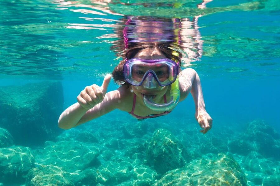 Golfo Aranci: Dolphin Watching and Snorkeling Boat Tour - The snorkeling stops: Cala Greca, Cala Moresca, and Figarolo Island