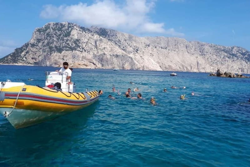 Golfo Aranci: Tavolara and Molara Snorkeling Dinghy Tour - Who this tour suits best (and who should think twice)