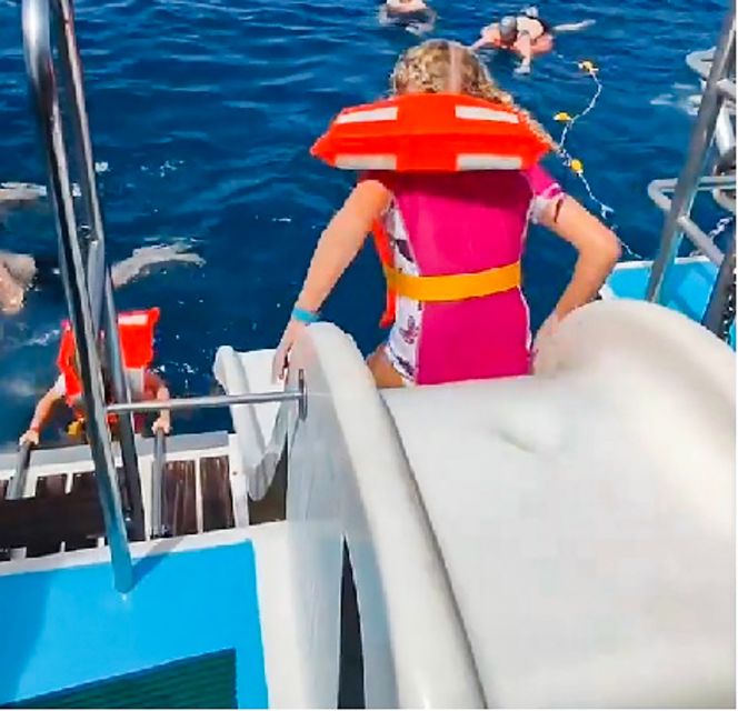 Gran Canaria: Catamaran Dolphin Watch Cruise with Snorkeling - Key Points Before You Go