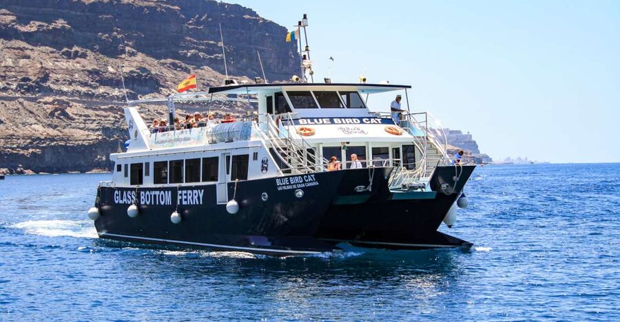 Gran Canaria: Catamaran Dolphin Watch Cruise with Snorkeling - Where You Start: Puerto Base and the Smooth Ramp Into the Day