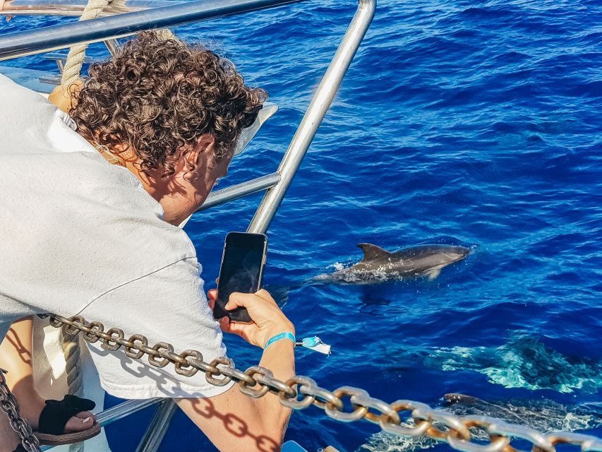 Gran Canaria: Catamaran Dolphin Watch Cruise with Snorkeling - Who This Cruise Suits Best (and Who Might Feel Let Down)