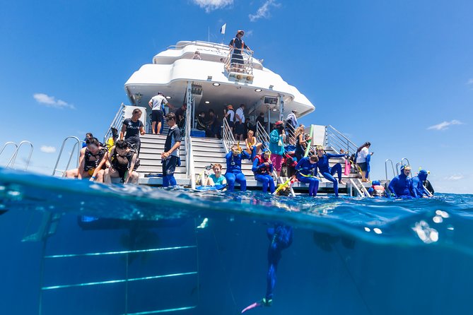 Great Barrier Reef Snorkeling and Diving Cruise from Cairns - A full reef day on the Evolution from Cairns