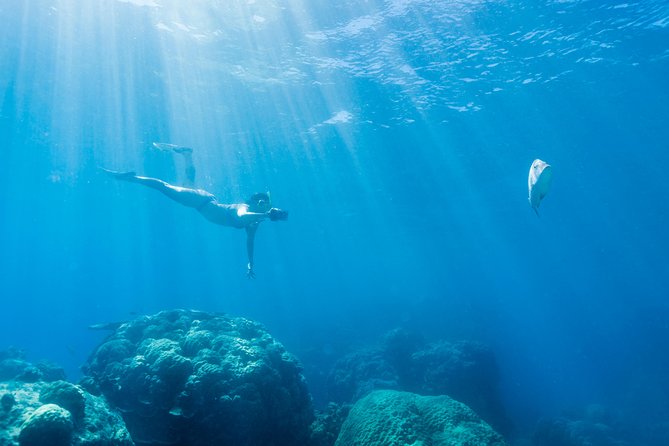 Great Barrier Reef Snorkeling and Diving Cruise from Cairns - Scuba upgrade: fun for beginners, but check the rules