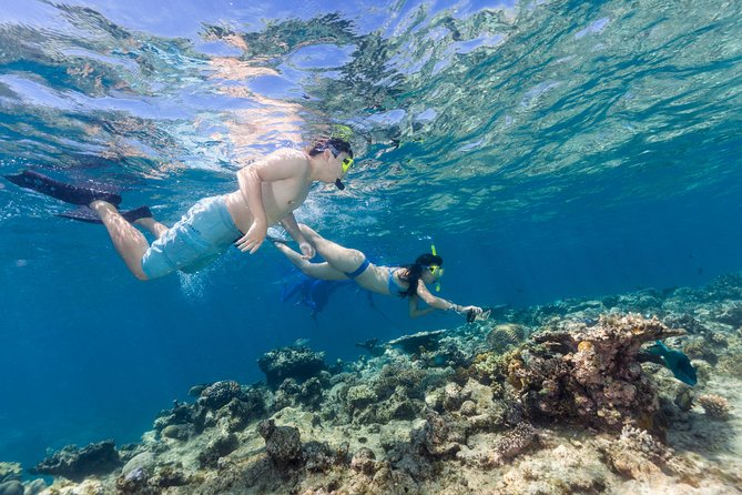 Great Barrier Reef Snorkeling and Diving Cruise from Cairns - When weather makes the day: how to plan for rougher water