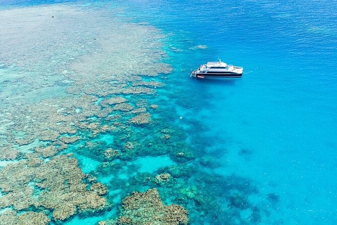 Great Barrier Reef with Cultural Guides-Dreamtime Dive & Snorkel - Indigenous cultural guides on the reef: what changes your reef day