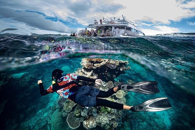 Great Barrier Reef with Cultural Guides-Dreamtime Dive & Snorkel - Snorkeling reality check: gear, safety, and getting comfortable