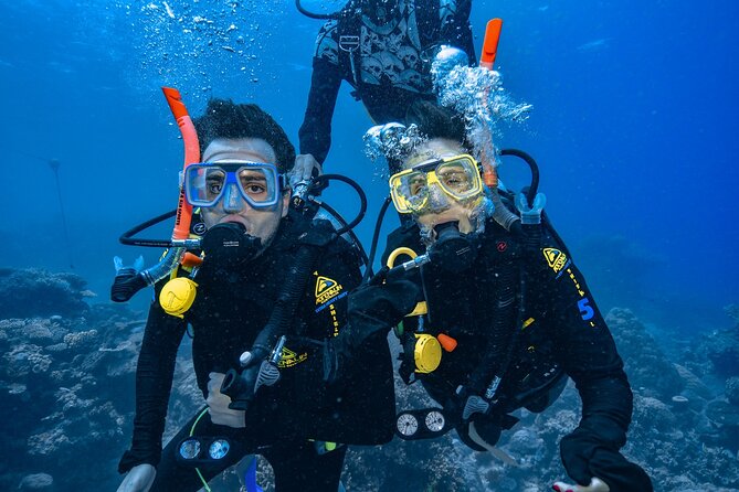 Great Barrier Reef with Cultural Guides-Dreamtime Dive & Snorkel - What to look for: marine biology talks that actually help