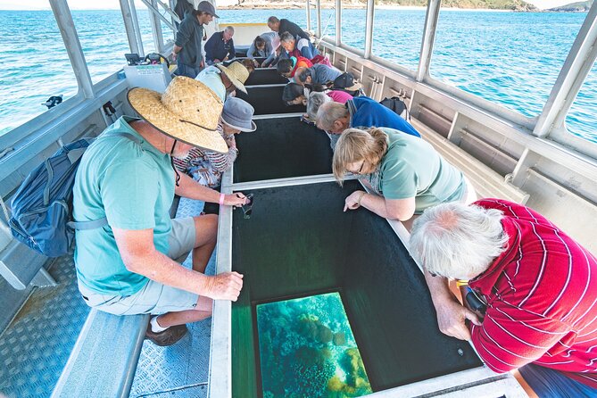 Great Keppel Island Adventure Tour - Snorkel and Boomnet - Glass-bottom boat coral time with a marine biologist