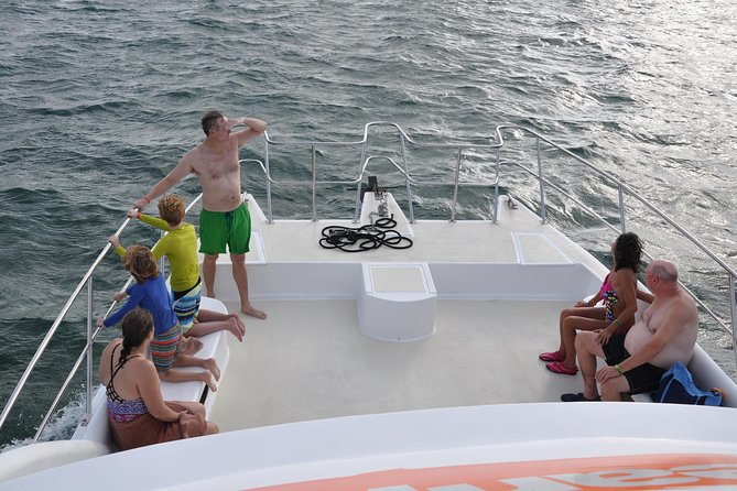 Great Snorkeling Cruise with Sharks & Stingray Encounter and Natural Pool - Who This Tour Fits Best (and Who Should Think Twice)