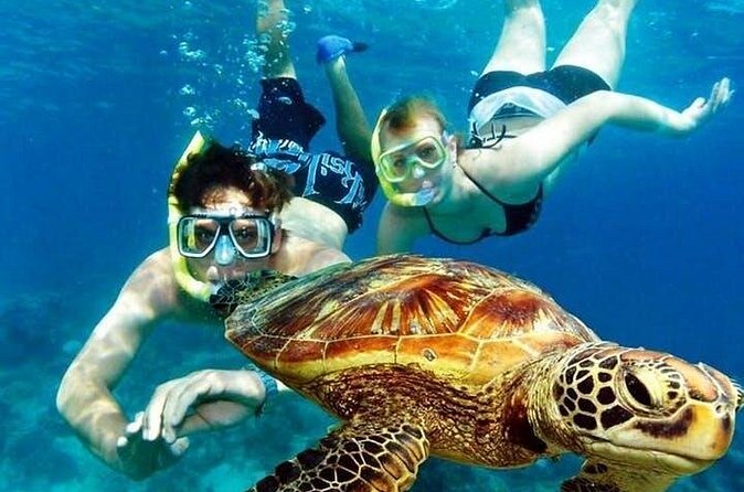 Guided Coral Reef Snorkeling Tour - The small-group limit: why max 10 feels different
