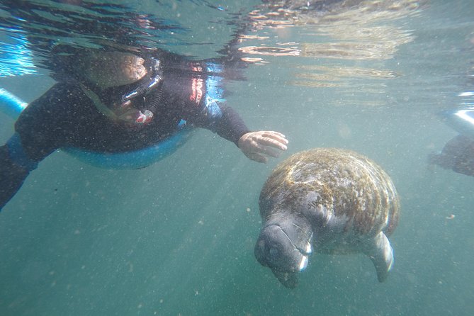 Guided Small Group Manatee Snorkeling Tour with In-Water Photographer - Key highlights before you book