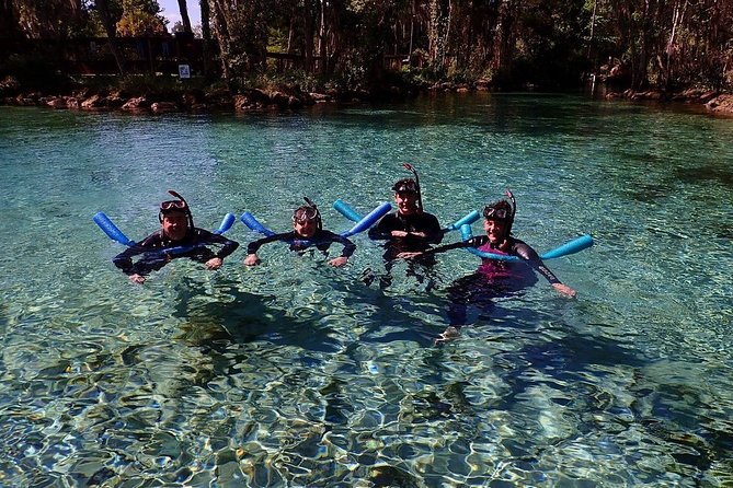 Guided Small Group Manatee Snorkeling Tour with In-Water Photographer - Getting geared up: wetsuits, equipment, and the pre-water rules