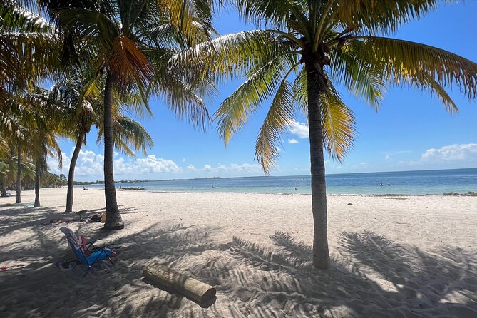 Guided Snorkel Experience, Free Videos in West Palm Beach - Where This Snorkel Tour Happens (Phil Foster Park Setup)