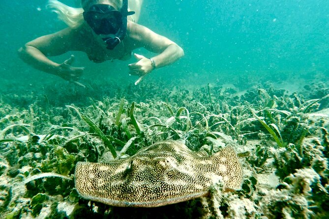 Guided Snorkel Experience, Free Videos in West Palm Beach - Beginner-Friendly Snorkel Basics That Actually Help